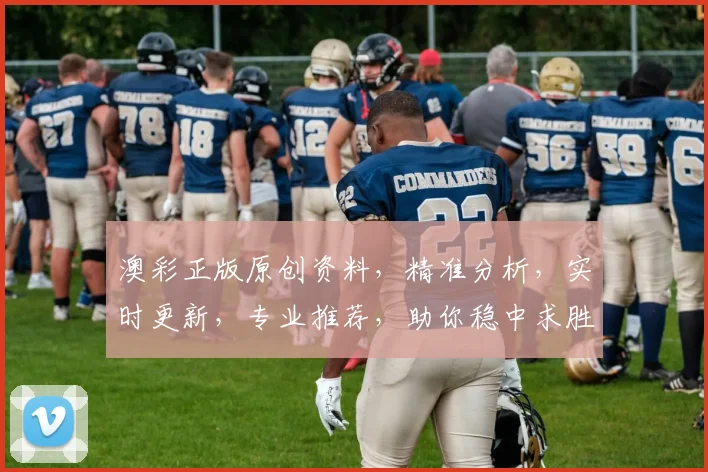 澳彩正版原创资料，精准分析，实时更新，专业推荐，助你稳中求胜，赢在起跑线。