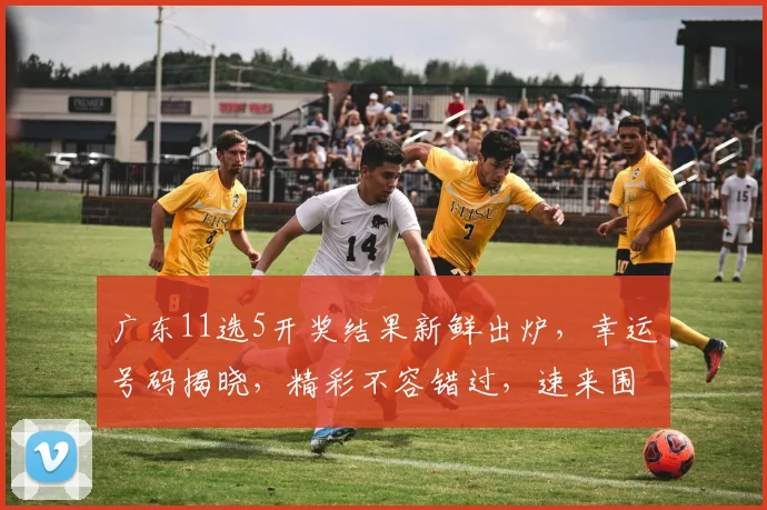 广东11选5开奖结果新鲜出炉，幸运号码揭晓，精彩不容错过，速来围观