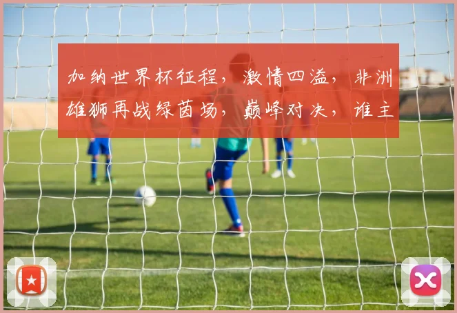加纳世界杯征程，激情四溢，非洲雄狮再战绿茵场，巅峰对决，谁主沉浮